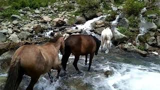 Lidwas valley srinagar