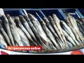 Астраханская вобла | Сделано в России | Телеканал "Страна"