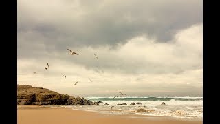 Ocean Waves Sound | Seagull Sounds for Relaxation, Sleeping, Meditation