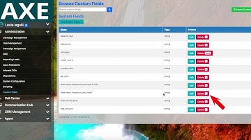 How to delete custom fields