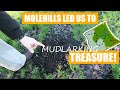 Where to go mudlarking - Moles hill finds lead the way!