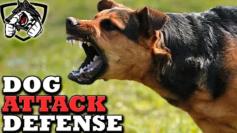 How to Defend Against a Dog Attack
