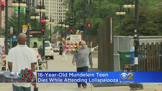 Lollapalooza Death: Mundelein Teen Dies After ‘Medical Emergency’