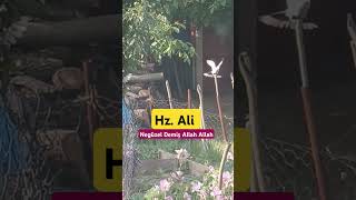 Hz.ali Güzel Söyledi Allah Şfet Şfet