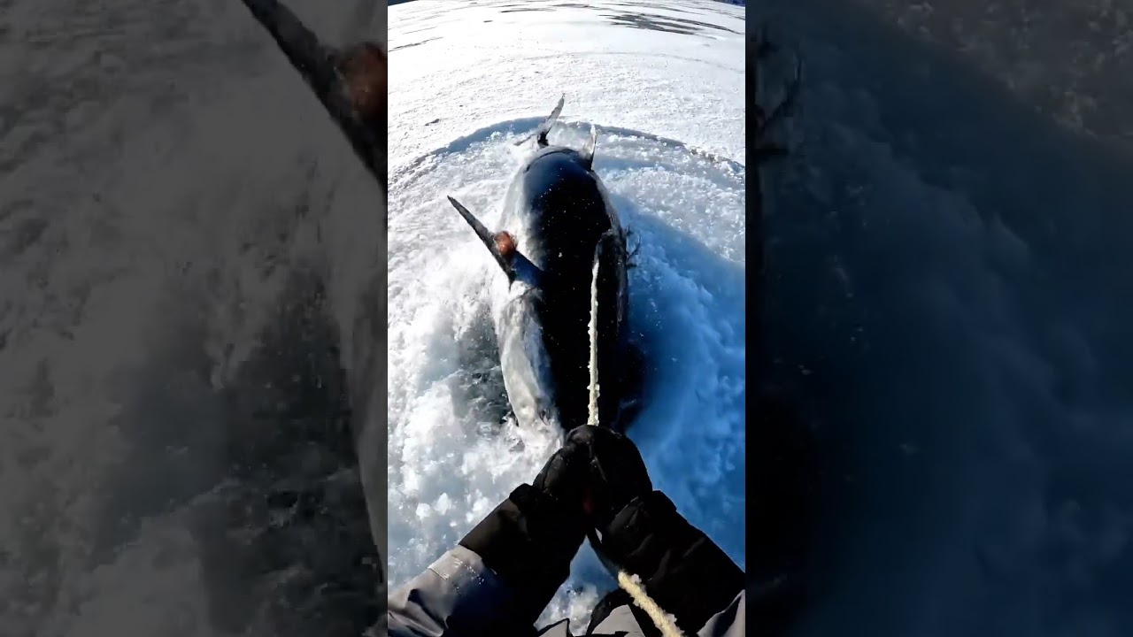 POV Survival in the Snow | Breaking Ice to Catch Fish