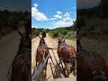 Western Legends Wagon Train 2017