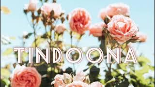Tindoona...Kadas zambia..@hakaindehichilema8437 @HELEN_CHRIS_MOSES_MUSIC #macky2  #olijaba.