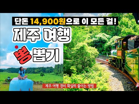 제주 여행코스 경비 확실히 줄이는 방법✈️ 제주올패스 가볼만한곳 w. 에코랜드, 아침미소목장, 다이나믹 메이즈, 제주 목장카페 jeju island