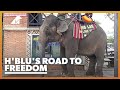 H'Blu's new life of freedom