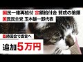 最新情報【国民一律追加給付 特別定額給付金】国民民主党代表・玉木雄一郎「再給付やるべきである」VS 麻生太郎か【臨時国会で提案へ】経済・消費の下支え、最低限の生活保障を整えよ