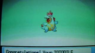 Pokemon HG/SS: Totodile Evolves
