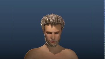 Xgen dynamic simulated hair  in maya viewport playblast