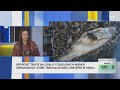 122 wagony soli codziennie trafiają do Odry. Czy to zgodne z prawem? @TVN24