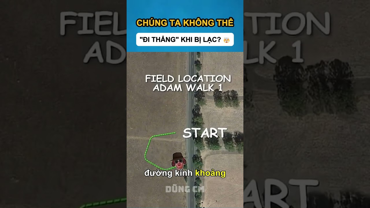 CHÚNG TA KHÔNG THỂ "ĐI THẲNG" KHI BỊ LẠC? 🤯