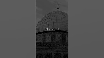 دعاء ياسر الدوسري #ترند #تيك_توك #غزة #فلسطين #قرآن #ياسر_الدوسري #يوتيوب #تلاوة_خاشعة