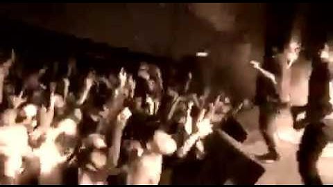 The Radical Array Project - T.R.A.P || 2017 SHOW SNIPPETS 2.6