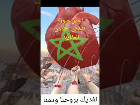 اجمل صور تلخص تضامن المغاربة لي متفق يخلي قلب