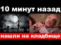 10 минут назад / нашли на кладбище / чп , Андрей Макаревич