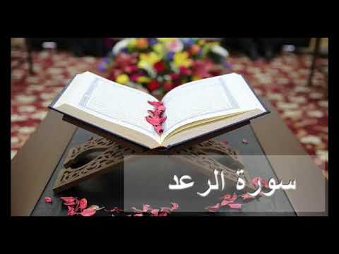 سورة الرعد باداء هادي بصوت جميل وندي