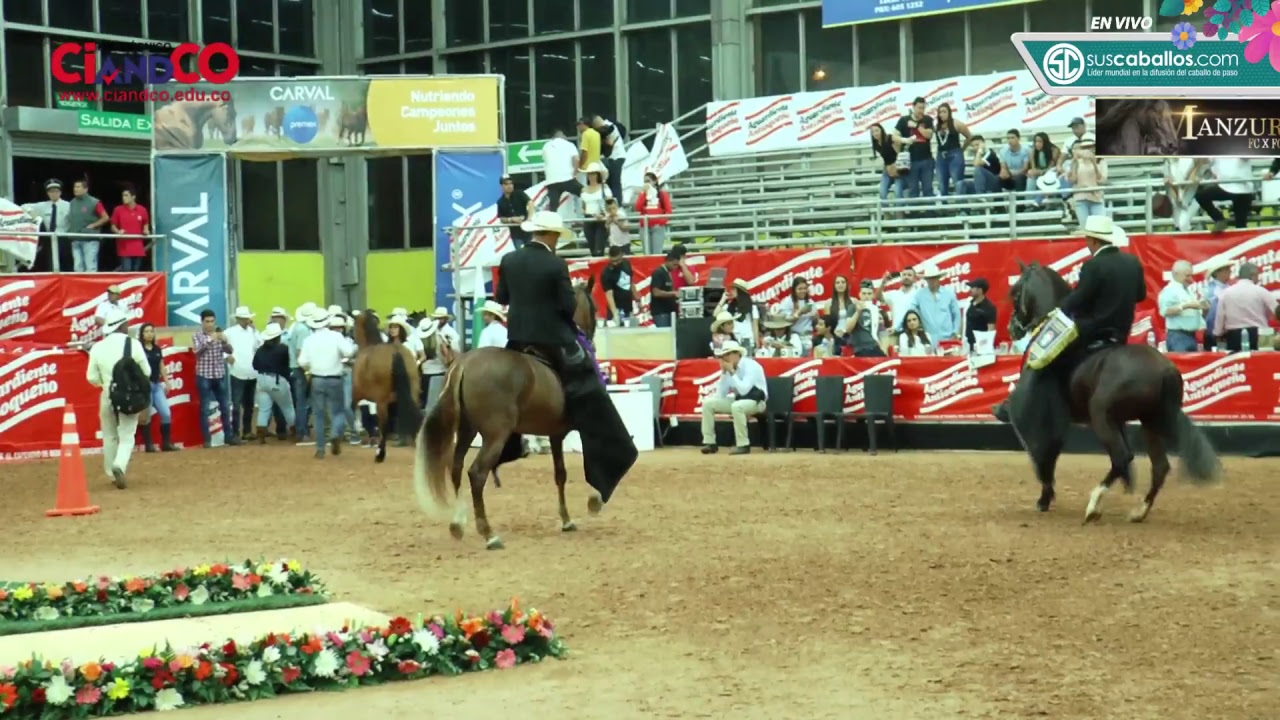 60 Expointernacional Equina Feria de las Flores 2018 - Trocha Colombiana
