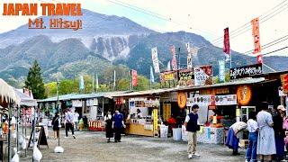 Spring mountain festival in Hitsujiyama park Chichibu Saitama Japan【羊山公園 | #explorejapan #japan #4k