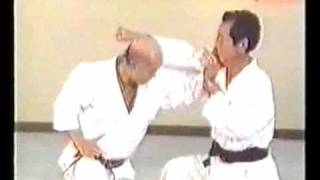 Wado Karate Idori by Tatsuo Suzuki Sensei