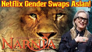 Netflix's Narnia Series Is DOOMED If Casting Rumor Is True! Meryl Streep To Play Aslan? C.S. Lewis Narnia Casting Stirs Controversy