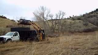 Loading Ford dump truck with CAT  299D and Quick Attach Eagle Talon Grapple