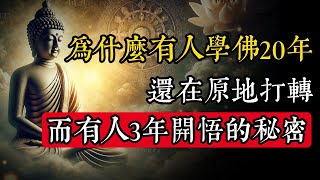 為什麼有人學佛20年還在原地打轉,而有人3年就開悟?隱藏2500年的佛法終極秘密曝光!|佛教 |佛學知識|修心修行|禪悟人生 |金剛經|南無阿彌陀佛|