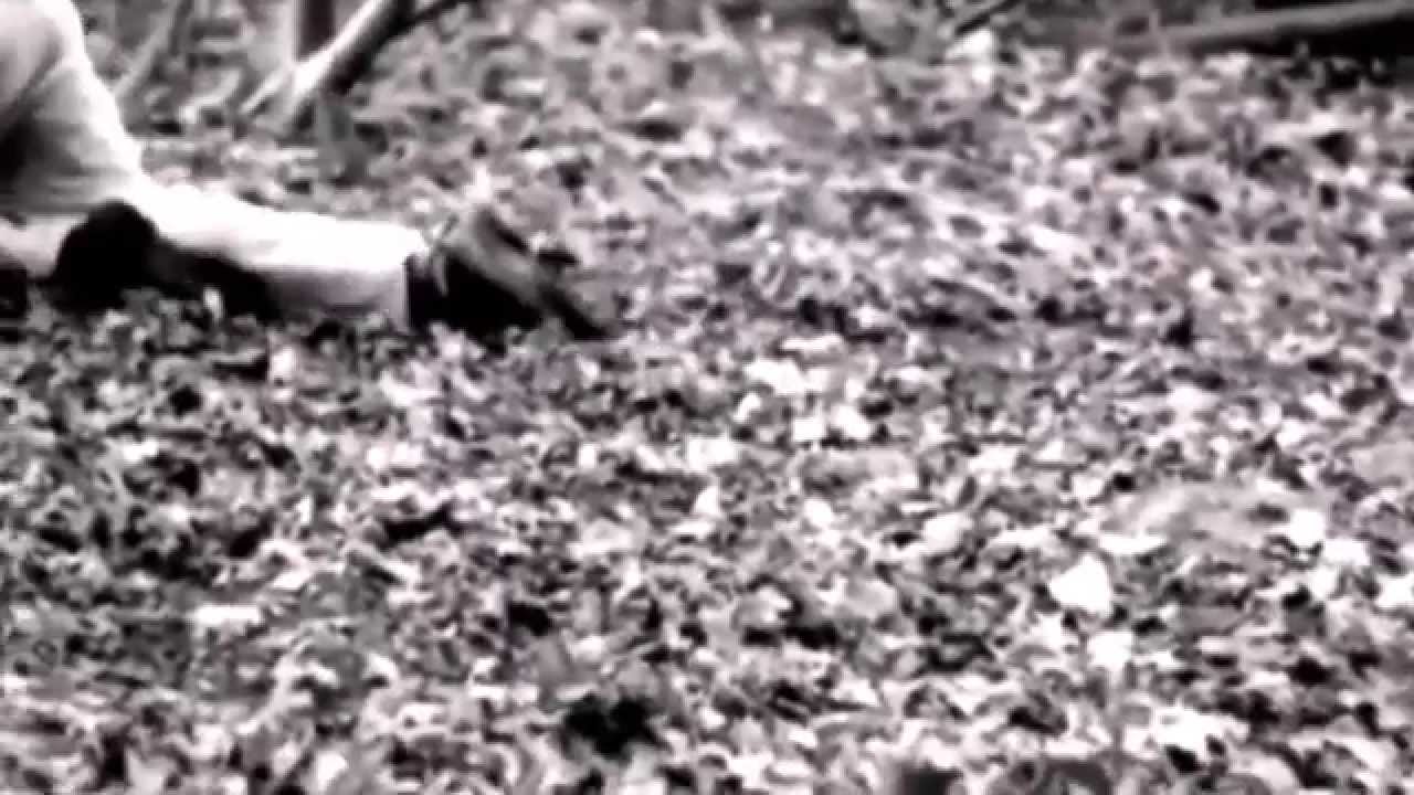 Darkwood feat. Ian Read ~ Valley of Dark Memories