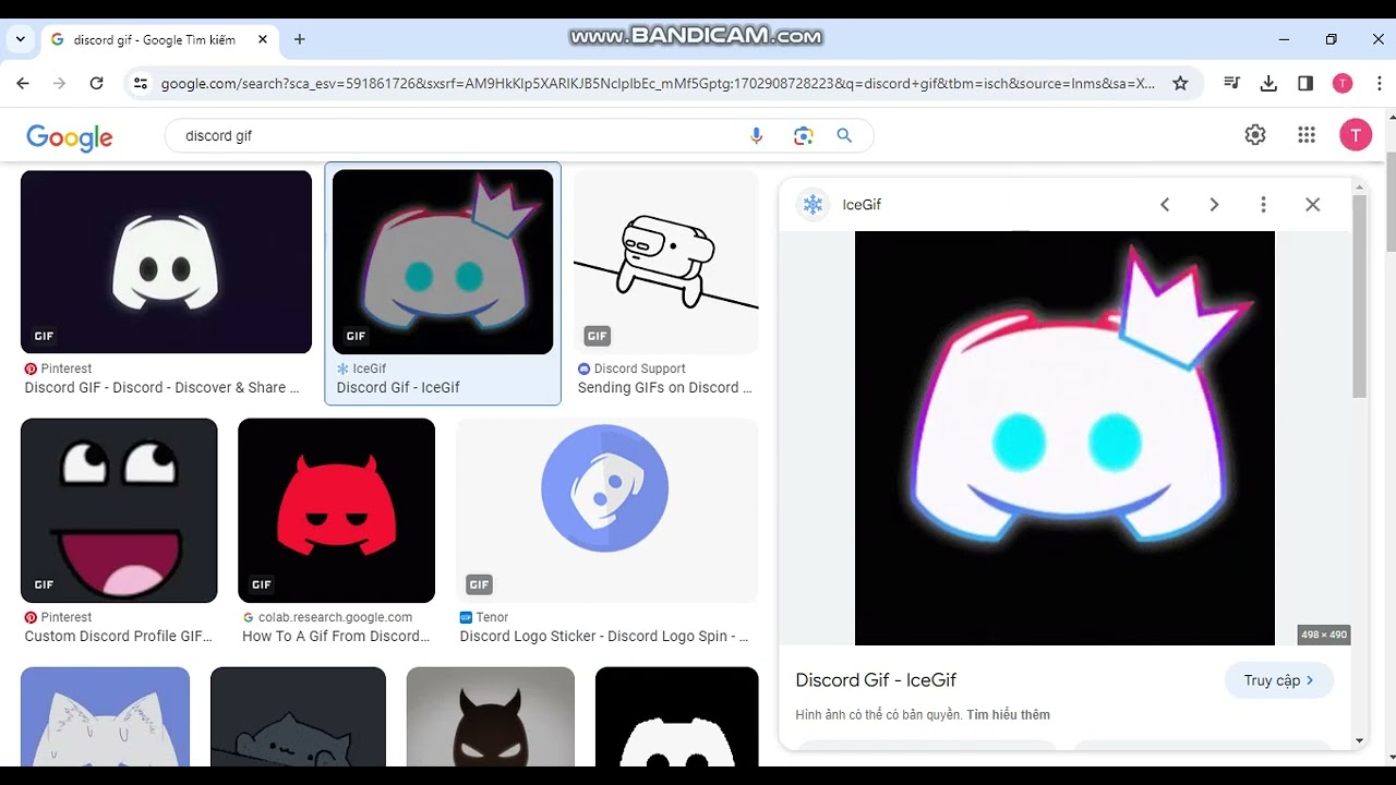 Discord Gif - IceGif