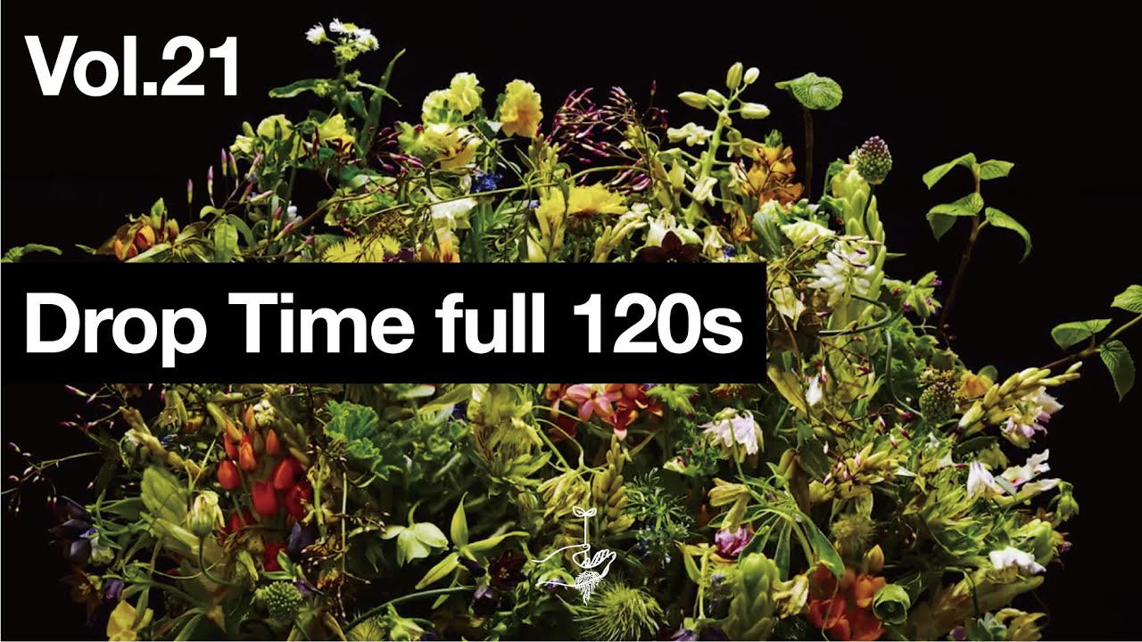 東信 生け花が咲いて枯れるまでを倍速撮影した作品 Drop Time Vol 21 を公開 ヴェヴェラージ