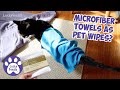 Microfiber Towels As Pet Wipes??? 😻 Ditto The Model 😻 Lucky Ferals S5 E15