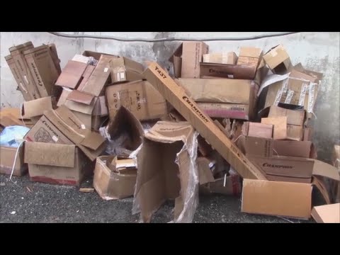АТ53 Переработка картона червями Старатель Видео №1 Дендробена, Калифорнийские черви