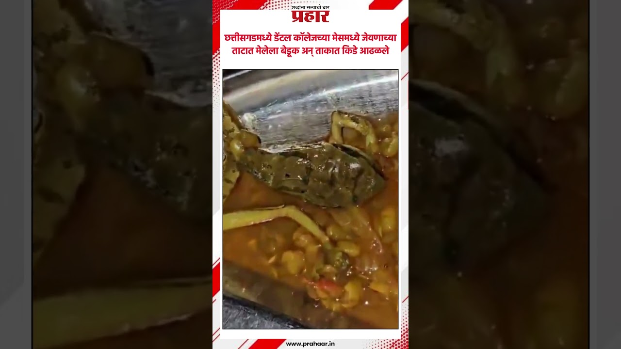 छत्तीसगडमध्ये डेंटल कॉलेजच्या मेसमध्ये जेवणाच्या ताटात मेलेला बेडूक अन् ताकात किडे आढळले..#prahaar