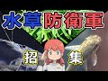 【生体導入】流木付き水草　～コケ対策のプロフェッショナルを添えて～