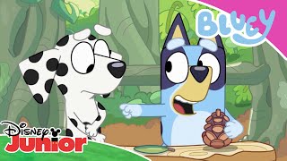 💙 Gotowi na zakupy? | Blue | Disney Junior Polska