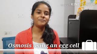 Osmosis using an Egg