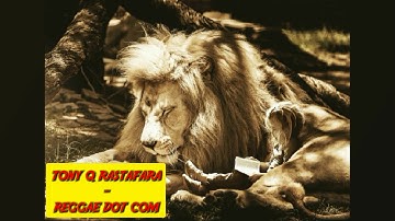 TONY Q RASTAFARA - REGGAE DOT COM