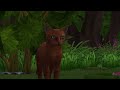 Losing Everything |Warrior Cats Sims 4 |Sunlit Echo ep17
