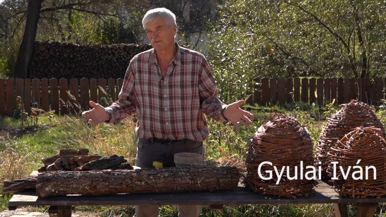 A biodiverzitás-barát kert / 2. rész