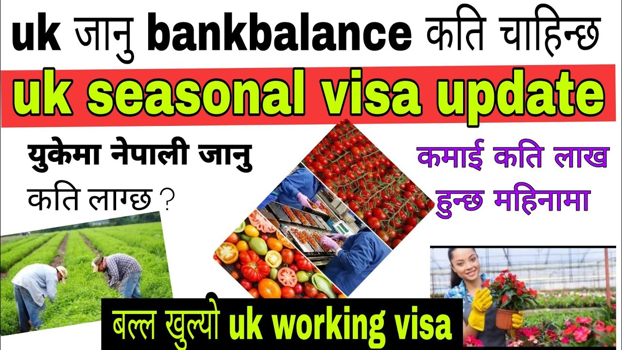 Uk Seasonal Visa Cost कमाई कति हुन्छ Uk Working Visa Update 2023 Il