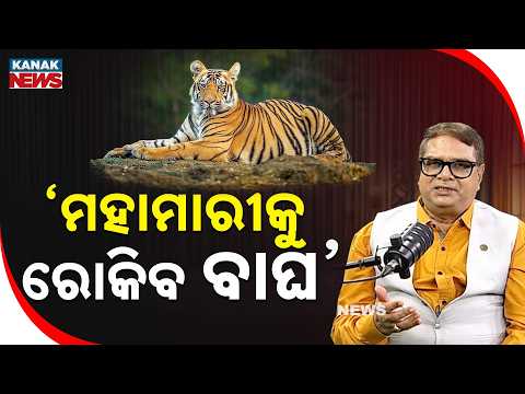 ‘ମହାମାରୀକୁ ରୋକିବ ବାଘ’ | Ama Atithi Podcast | Dr. Anup Nayak | Kanak News