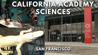 Exploring California Academy of Sciences Museum San Francisco 4K