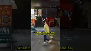 Being Kind And Compassionate Truly Brought Blessings  youtubeshorts viralshort humanity cat