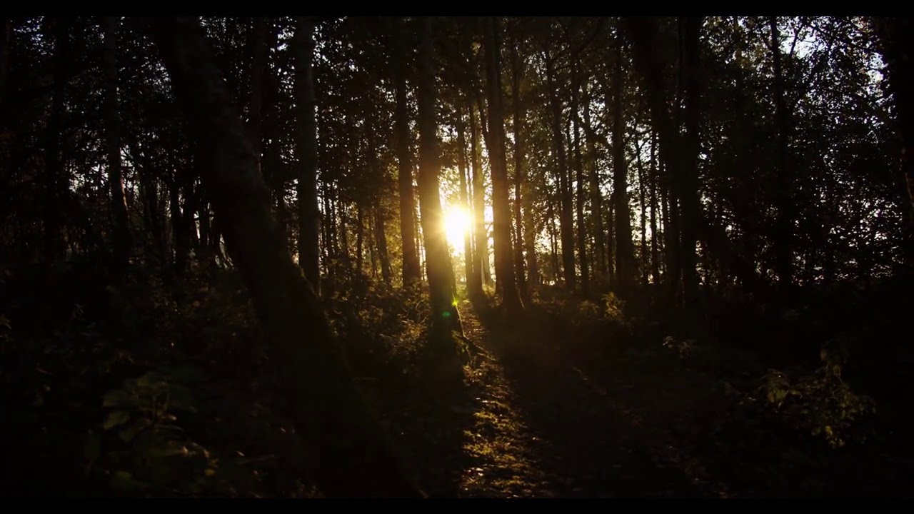 Sunset views with lovely Hindi song