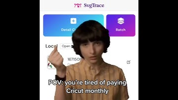 SvgTrace PRO allows you to easily convert your PNG or JPEG to a beautiful layered SVG file that imp