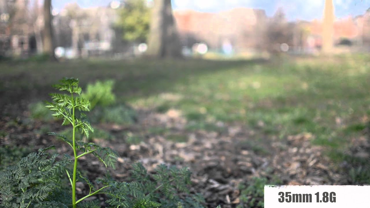 Nikon 50mm f/1.8G vs 35mm f/1.8G PART 2 - YouTube