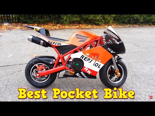 Pocket bike - moto enfant Essence 2 temps Serval Prime 50cc Mini Moto Cross  Enfant