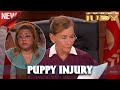 JUDY JUSTICE Judge Judy Episodes 9978 Best Amazing Cases Season 2024 Full Episode HD